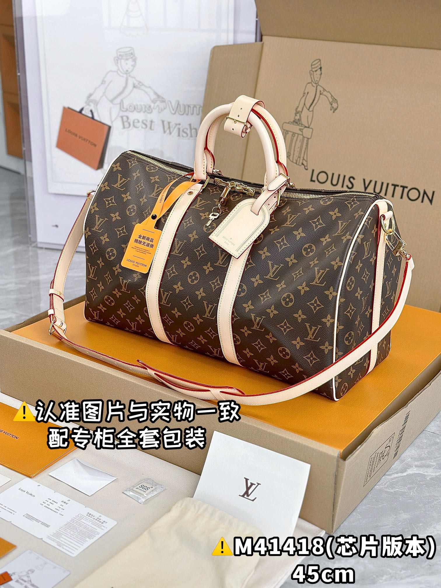 LV Travel Bags